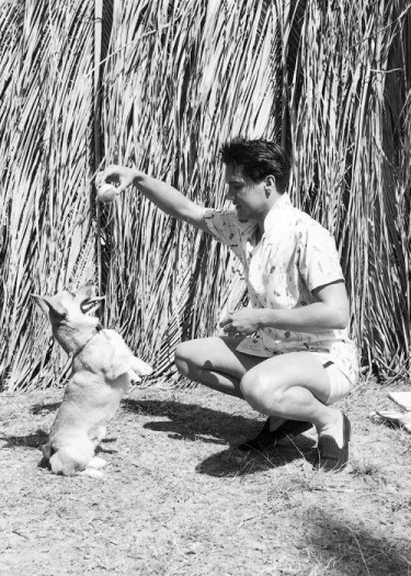 Elvis with a Corgi